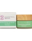 Moisturizing Lip Scrub, Spearmint image 0