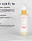 Sleepy Time Pillow Mist