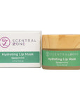 Hydrating Lip Mask, Spearmint image 0