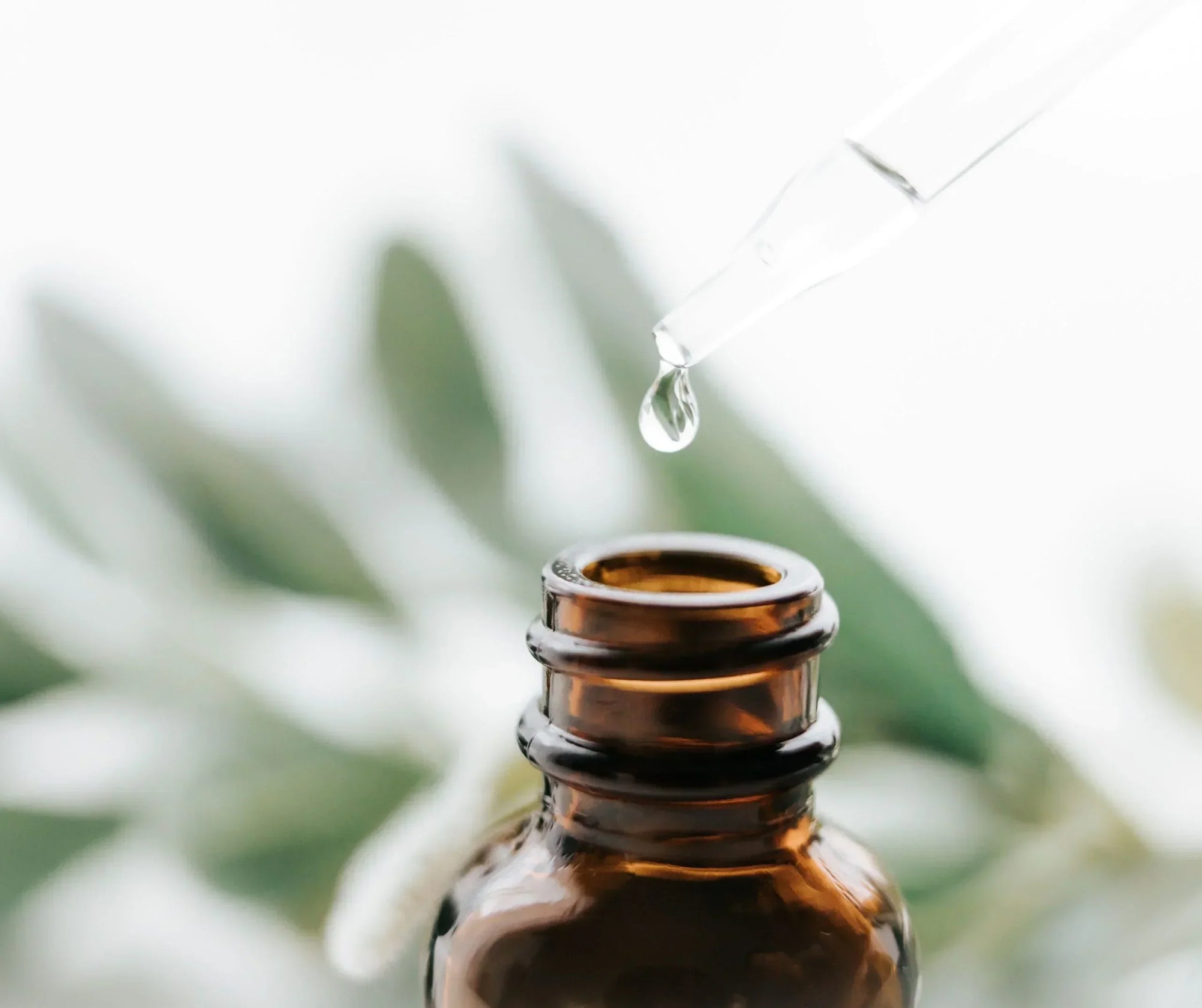 Understanding the Differences: Clean vs. Natural vs. Organic Products