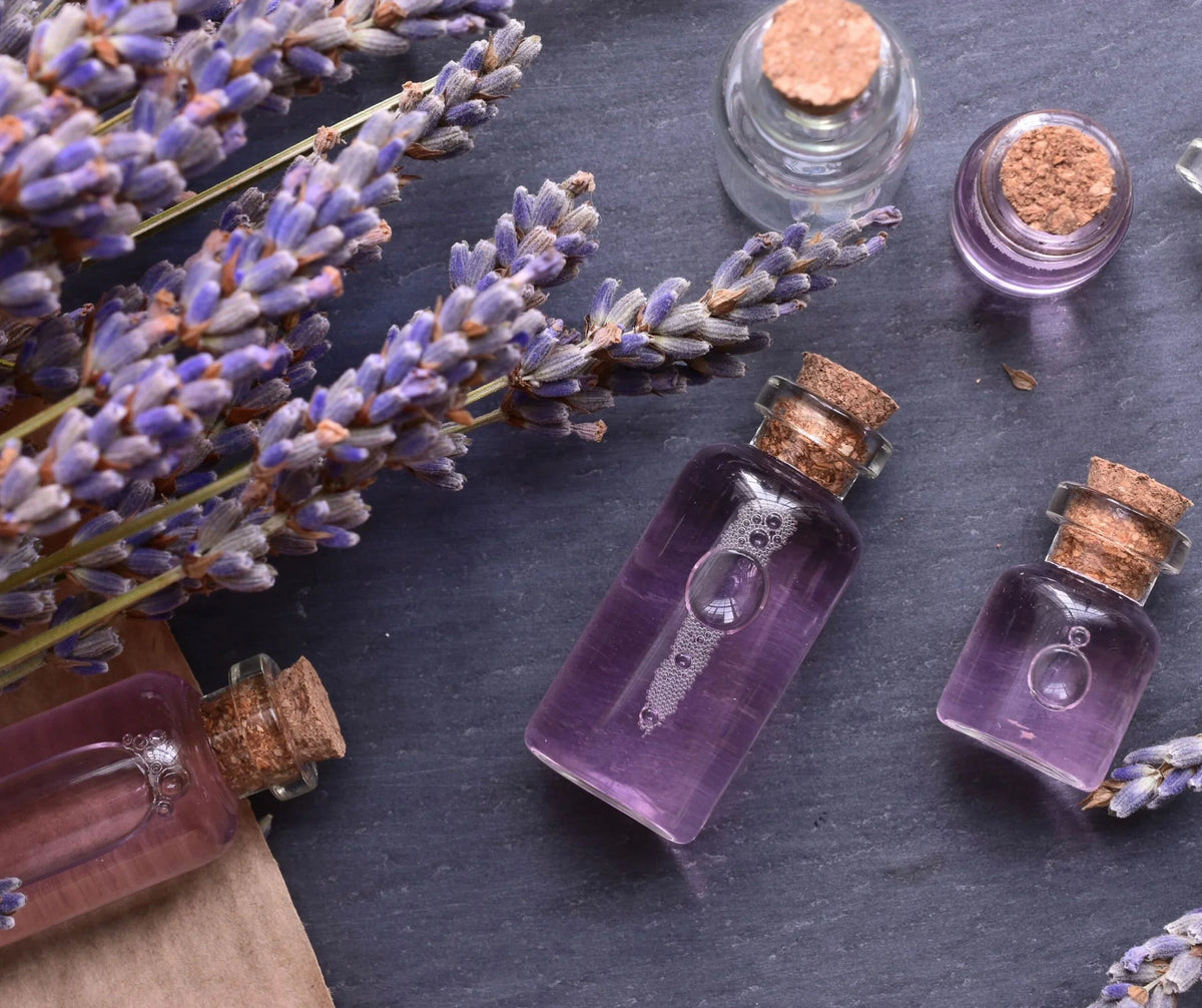 Image of Lavender essential oils in small jars against a countertop next to fresh lavender.