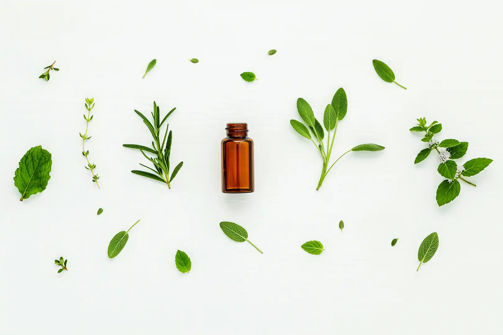 Inside Our Ingredient Sourcing: Natural, Clean, and Upcycled