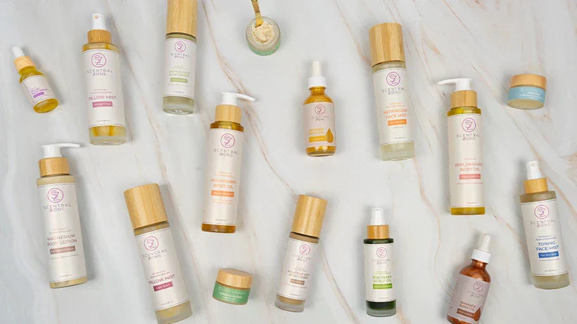 Our Fan Favorites You Need to Try