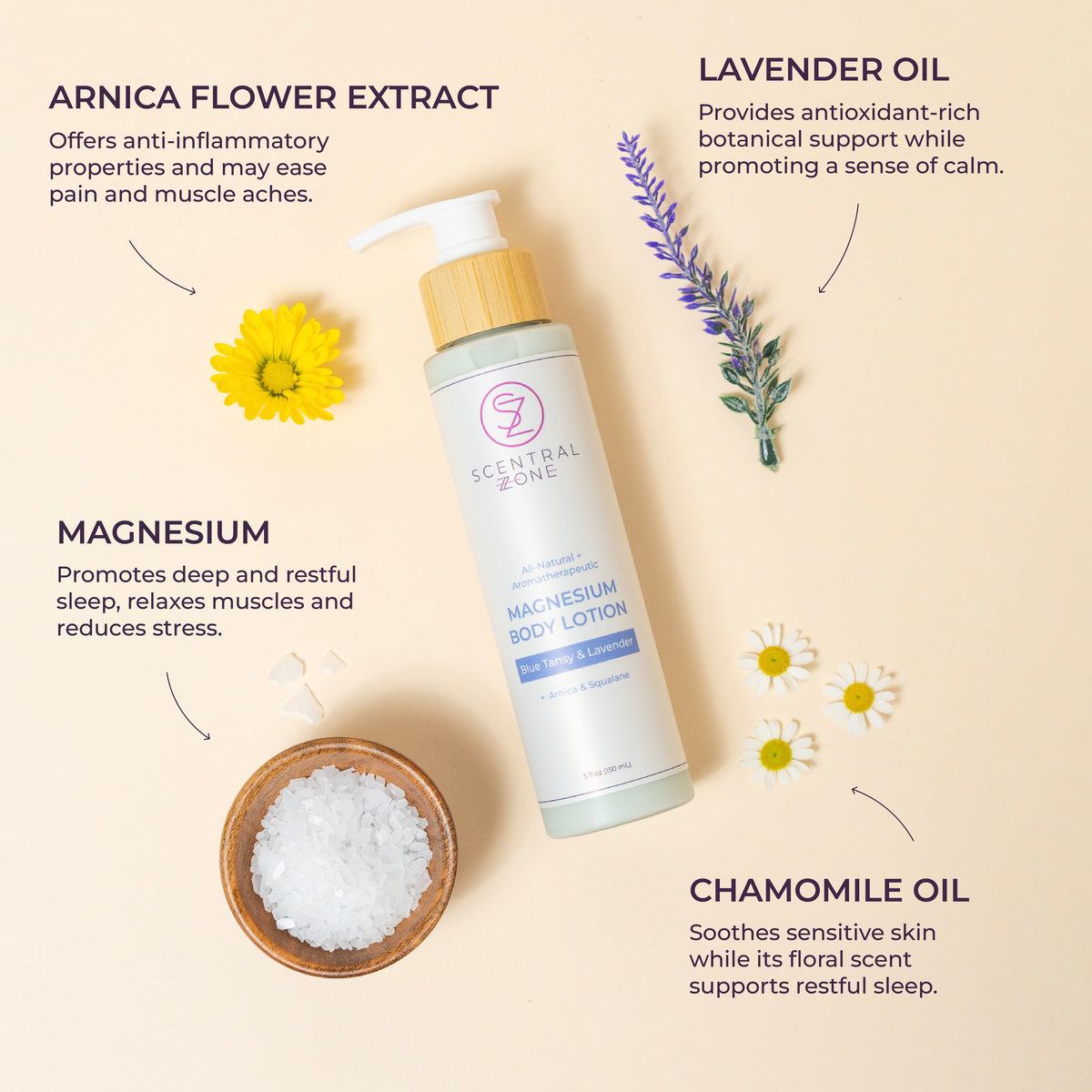 Scentral Zone 5oz Magnesium Body Lotion in Blue Tansy and Lavendar scent featuring a white bottle, a bamboo pump collar, and pink logo. Alongside the bottle are ingredient highlights such as arnica flower extract, lavender oil, magnesium, and chamomile oil. 